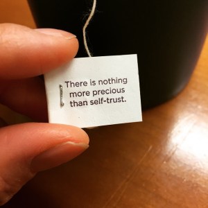 10385402_709103289207376_3790587917071403609_n