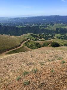 10646938_10155353480155317_5581595735882172765_n