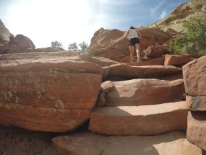 DCIM100GOPROGOPR0031.