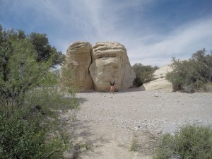 DCIM100GOPROGOPR0082.