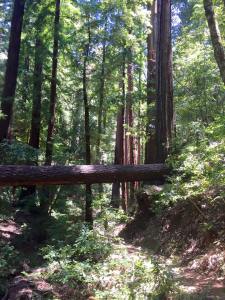 11796181_10155811246240317_515395815536127040_n