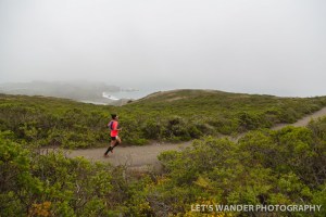 12019803_10156041370965317_271074801843119722_n